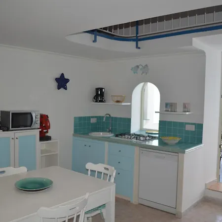 公寓 Charming Casa Delfino Blu , Easy Access And Stunning Sea Views Terraces 普莱亚诺